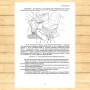 Operating Manual for «BELARUS-80.1/82.1/820» Tractors by Manuals